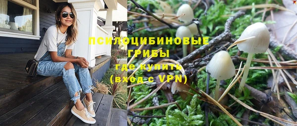 твердый Алексин