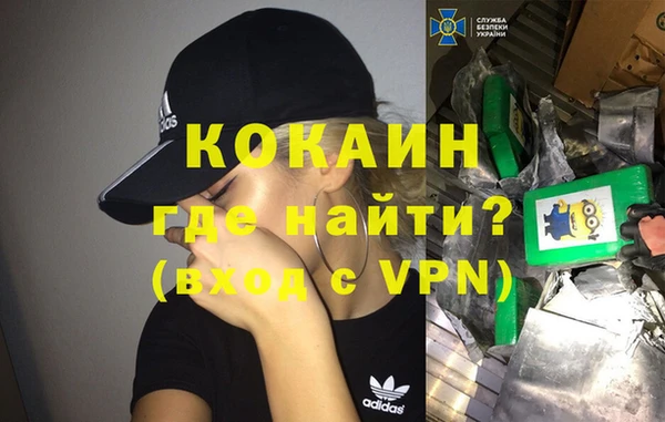 хмурый Алзамай